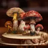Paquete de Pegatinas Día Hermoso Colección de Espécimenes de Champiñón Serie Material de Decoración para Diario Temático de Champiñones Pegatinas 25 Hojas 6 Diseños