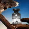 2025 Nuevo Perfume para Coche Aromaterapia Desodorante para Coche para Hombres Adornos Eliminadores de Olores Fragancia de Larga Duración