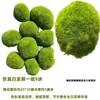 Césped de Musgo, Musgo Artificial, Adornos para Micro-Paisajes, Jardinería de Césped, Bonsái, Embellecimiento de Aceras, Fabricante de Paisajismo