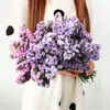 Directamente de Yunnan Nomeolvides Gypsophila Flores Reales Semisecas Secadas al Aire Naturalmente Flores Conservadas Regalo Adorno para Sala de Estar Mesa de Comedor