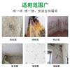 Eliminador de moho de pared Tela de pared Papel tapiz Eliminador de moho de azulejos Eliminador de moho de pared Eliminador de moho de madera en aerosol