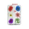 Nuevo estilo de flores secas para uñas, 6 rejillas rojas, girasol japonés, flor natural estrellada, decoraciones para uñas DIY