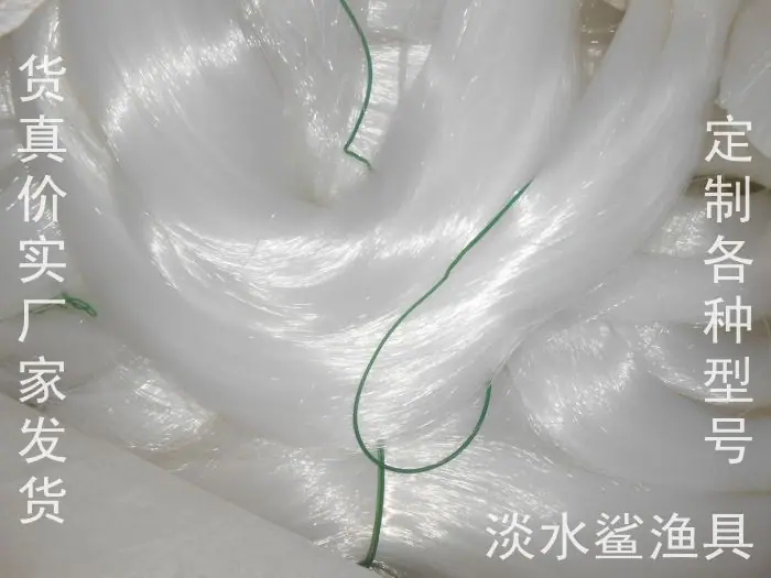 照片 064