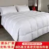 Fornecimento direto da fábrica inverno hotel especial núcleo de edredom quente roupa de cama núcleo de edredom veludo sintético edredom de quatro estações atacado