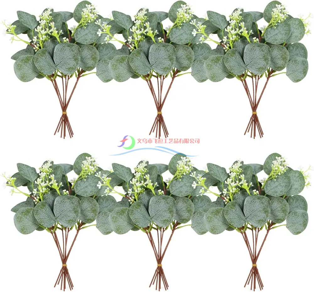 主图_Eucalyptus_Leaf_and_Seeds.j