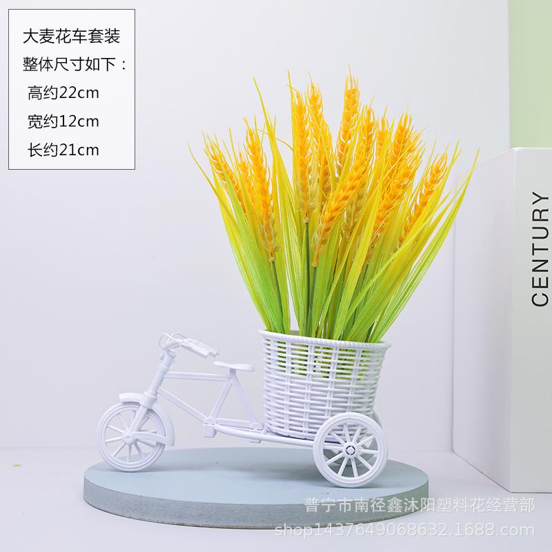 3D1A5556.jpg