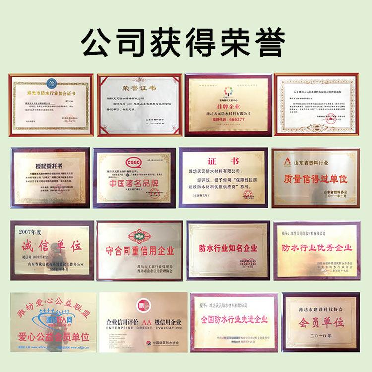 公司荣誉