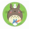 Insignia de Totoro Miyazaki periférico anime bidimensional hojalata insignia fábrica mayoreo Dragón 1-38