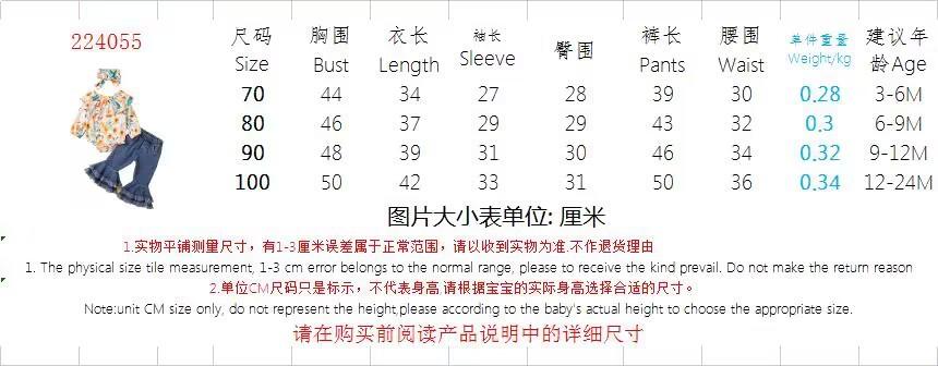 224055尺寸