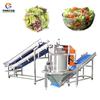 Secador Deshidratador Continuo Automático de Verduras Limpias para Ensaladas, Secador Deshidratador de Verduras Grado Alimenticio, Directo de Fábrica Fengxiang