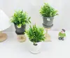 Plantas en Maceta de Plástico de 4 Colores, Decoraciones Modernas y Sencillas para Escritorio de Oficina y Sala de Estar, Decoraciones para el Hogar, Decoraciones de Flores Artificiales