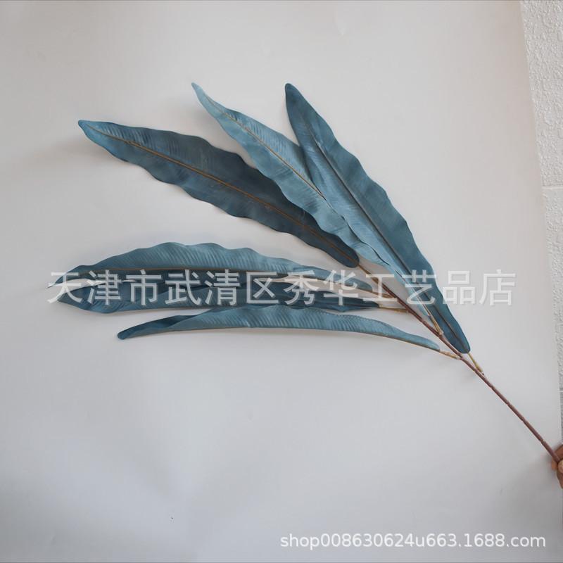 鸟巢叶雾霾蓝