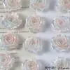 Novo Estilo Glitter Fino Gradiente Duas Cores Flor Rosa Amor Verdadeiro Contas Soltas DIY Pulseira com Contas Colar Brinco Acessórios Materiais