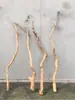 Galhos Secos, Troncos, Galhos Mortos, Madeira Morta, Troncos de Árvore, Poleiros para Pássaros, Cabides de Parede, Galhos de Teto, Enfeites Decorativos