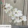 Eva9 Orquídea Phalaenopsis Toque Phalaenopsis Ornamento de Decoração para Casa Flor Artificial Cenário de Arco de Casamento Flor Artificial
