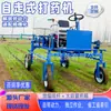 Pulverizador Autopropelido para Pomares, Frutíferas, Terras Agrícolas, Estufas, Pulverizador a Diesel, Pulverizador Agrícola de Alta Pressão a Gasolina Portátil