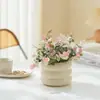 Enredadera con Follaje, Flores de Colores y Plantas Verdes para Todas las Estaciones, Maceta Colgante para Balcón Trepador, Fácil de Mantener en el Patio