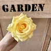 Flor Artificial Rosa com Pétalas Enroladas 12 Cores Cabeça de Flor Falsa Flores Artificiais de Alta Qualidade Decoração de Parede de Flores para Casamento Diâmetro 9cm Fabricante de Flores Artificiais