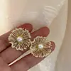 Pendientes de Perla de Fuegos Artificiales Brillantes de Lujo Ligero y Gama Alta para Mujer, Elegantes Retro con Estilo, Elegantes a la Moda, Pendientes Versátiles y Pendientes