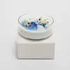 Vela Navideña Oceánica Forma de Lentejuela Vela Aromática Cera de Soja Colorida Taza de Vela de Caracola Caja de Regalo Recuerdo