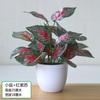Plantas Pothos Simuladas, Plantas Verdes Artificiais, Ornamentos de Flores Simuladas, Lan House, Sala de Estar, Quarto, Clube de Hotel, Ornamentos de Plástico, Frete Grátis