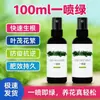 Solución nutriente verde de un rociado, fertilizante para flores, fertilizante foliar, no requiere dilución, vuelve verdes las hojas amarillas, universal para plantas y flores, listo para rociar