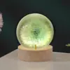 Cubo Flor de Diente de León Resina Bola de Cristal Luz de Noche Luminosa Regalo de Cumpleaños Manualidades Creativas Adorno de Atmósfera para Escritorio