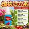 Concentrado de Vitalidad para Plantas Solución Nutritiva Árbol del Dinero Suculentas Flores Plantas Verdes Promotor de Enraizamiento Universal Tienda Oficial Insignia