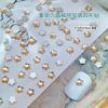 Strass Champagne Fundo Plano, Strass para Arte de Unhas, Strass Mini Pequenos Irregulares Dourado Maillard Fantasma para Preenchimento de Unhas