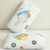 Fronha Pequena de Seda de Gelo para Crianças, Fronha Refrescante de Verão 30X50, Fronha para Travesseiro de Espuma de Memória de Látex 40X60, Ajuste Universal
