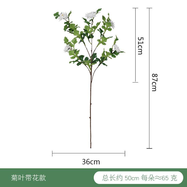 菊叶带花.jpg