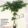 Simulação Árvore Cipó Folhas Galhos Folhas Artificiais Cipós Plantas de Parede Decoração de Interior Planta Verde Grande Parede de Plantas Cipós de Folha Verde