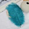 Venta al por mayor de fábrica 15-20 cm pluma de avestruz actuación escénica pluma pequeña material de decoración de joyería DIY pluma de avestruz