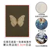 Amazon Moderno Minimalista Lienzo Restaurante Colgante Pintura Retro Marco Dorado Planta Flor Hogar Sala de Estar Pintura Decorativa