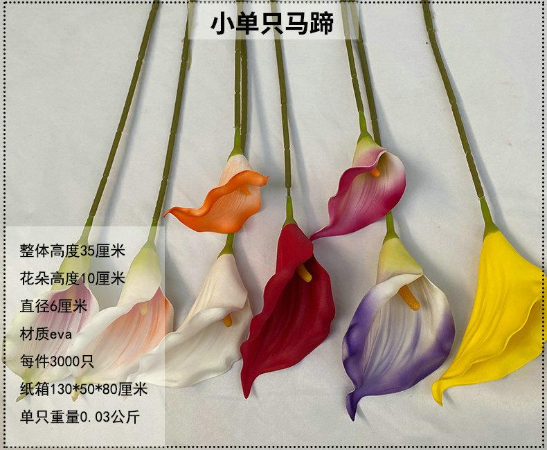 产品信息图-小单只马蹄.jpg