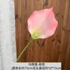 Flores artificiales de Caladium para decoración del hogar, flores falsas de EVA para bodas, arreglos florales de alta gama, ramos de Caladium al por mayor