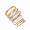 [02] calidad de alta gama tarjeta hogar diez estrella de diamante destornillador pulsera de acero de titanio serie amor pulsera para hombre y mujer