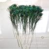 Suministro directo de fábrica de plumas de pavo real naturales 70-120 cm arreglo floral sala de estar sitio de servicio diseño de decoración 100 envío