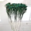 Suministro directo de fábrica de plumas de pavo real naturales 70-120 cm arreglo floral sala de estar sitio de servicio diseño de decoración 100 envío