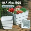 Base de Água para Controle de Raízes Quadradas Meiji Bandeja de Água Respirável Diâmetro Grande Plástico Carne Dendróbio Vientiane Vaso para Flores Suculentas