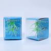 Caja azul de empaque para cebo de erizo de mar Luya material de PVC de alta elasticidad resistente al desgarro mordida biónica erizo de mar cebo suave Luya