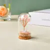 Árbol del Dinero de Grava de Cristal Natural Cubierta de Polvo de Vidrio Árbol de Cristal Hecho a Mano Creativo Árbol de la Vida de Cristal Decoración para el Hogar