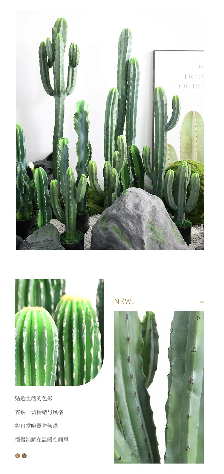 新款神龙木仙人掌系列_04.jpg
