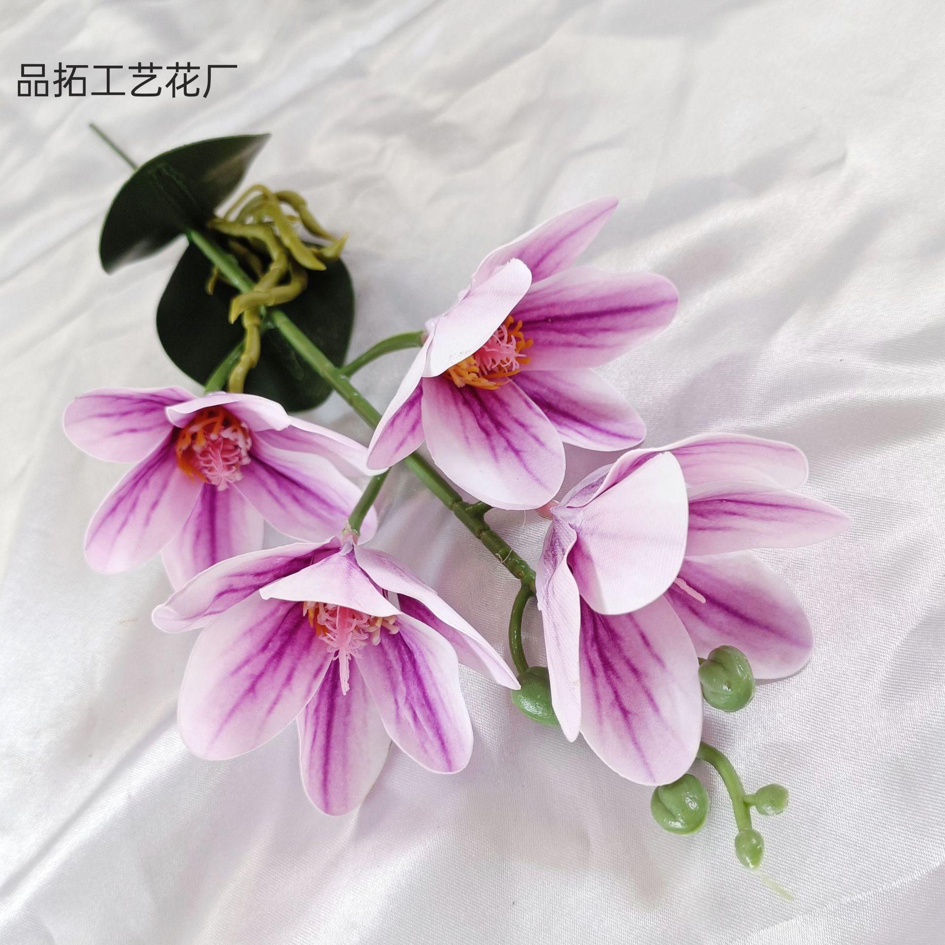 ce1aa8c494fac9602602b922e85b28