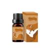 Comercio exterior explosiones pudín de caramelo comida aromaterapia aceite esencial humidificador máquina de aromaterapia piedra difusora de yeso aceite esencial de alta concentración