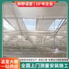 Fabricante Produce Invernaderos Multispan 8432 con Estructura de Acero Ligero, Alta Capacidad de Carga, Control de Temperatura, Diseño Según Planos, Galvanizado en Caliente