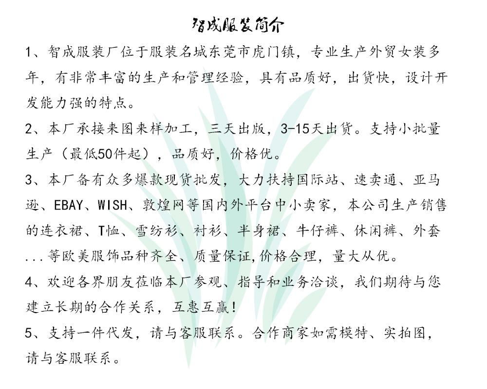 智成服装简介
