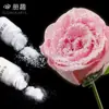 Ramo de Polvo Flocado Navideño Brillo Felpa Spray Floral Ecológico Pegamento en Spray Transparente Flores de Nieve Artificiales