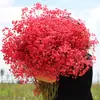 Ramo de Gypsophila de Yunnan Enviado Fresco Flores Reales Manojo Grande Venta al por Mayor Envío Directo Nomeolvides Adorno de Sala de Estar Decoración Inserto
