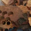 Troncos de Tuias Taihang Óleo Vermelho Envelhecido Óleo Preto Bloquinhos Defumados com Especiarias Essência Selecionada Fragmentos de Alto Óleo Borda Trigo Taiba